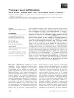 Báo cáo khoa học: Training of yeast cell dynamics ppt