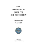 RISK MANAGEMENT GUIDE FOR DOD ACQUISITION docx