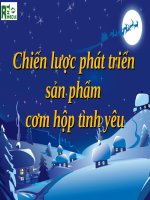 Chiến lược phát triển sản phẩm cơm hộp tình yêu...OUTLINE pot