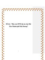 Báo cáo ĐTM dự án chợ Hải Tân - Thành phố Hải Dương