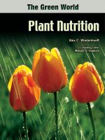 The Green World Plant Nutrition pptx