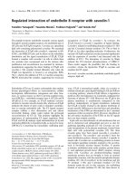 Báo cáo khoa học: Regulated interaction of endothelin B receptor with caveolin-1 potx