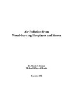 Air Pollution from Wood-burning Fireplaces and Stoves docx