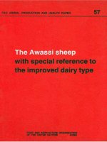The Awassi sheep with special reference to the improved dairy type potx