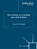 The Victim in Criminal Law and Justice pot