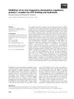 Báo cáo khoa học: Inhibition of an iron-responsive element/iron regulatory protein-1 complex by ATP binding and hydrolysis docx