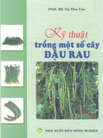 Kỹ thuật trồng một số cây đậu rau pdf