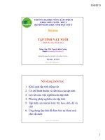 TẬP TÍNH VÀ SỰ THOẢI MÁI CHO VẬT NUÔI