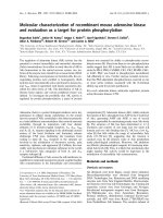 Báo cáo khoa học: Molecular characterization of recombinant mouse adenosine kinase and evaluation as a target for protein phosphorylation potx