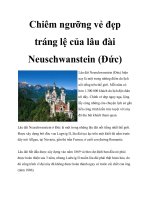 Chiêm ngưỡng vẻ đẹp tráng lệ của lâu đài Neuschwanstein (Đức) docx