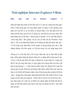 Trải nghiệm Internet Explorer 9 Beta pot