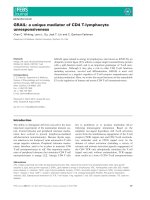 Báo cáo khoa học: GRAIL: a unique mediator of CD4 T-lymphocyte unresponsiveness ppt