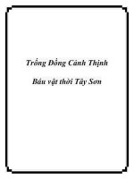 Trống Đồng Cảnh Thịnh Báu vật thời Tây Sơn pdf