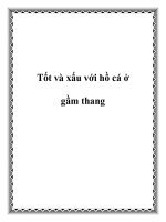 Tốt và xấu với hồ cá ở gầm thang potx