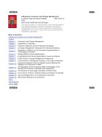 Idea Group - E-Business Innovation And Change Management pptx