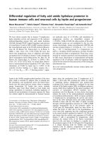 Báo cáo khoa học: Differential regulation of fatty acid amide hydrolase promoter in human immune cells and neuronal cells by leptin and progesterone pdf