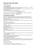 Soạn bài Câu trần thuật