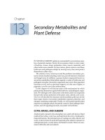 Plant physiology - Chapter 13 Secondary Metabolites and Plant Defense docx