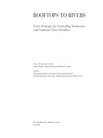 ROOFTOPS TO RIVERS: Green Strategies for Controlling Stormwater and Combined Sewer Overflows pot