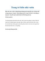 Trang trí hiên nhà vườn pot