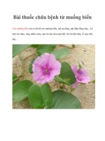 Bài thuốc chữa bệnh từ muống biển pptx
