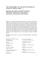 The working families’ tax credit and some European tax reforms in a collective setting pdf