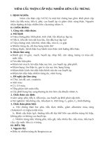 Viêm cầu thận cấp pdf