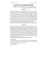 CANH TÁC LÚA ÍT KHÍ THẢI NHÀ KÍNH TỈNH AN GIANG VỤ ĐÔNG XUÂN 2010-2011 pptx