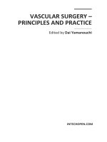 Vascular Surgery – Principles and Practice Edited by Dai Yamanouchi potx