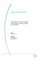 Subcoal ® from coarse rejects of the paper industry as fuel for limekilns doc