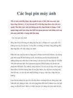 Các loại pin máy ảnh doc