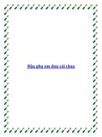 Đậu phụ om dưa cải chua pdf