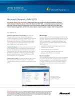 WHAt’s NeW iN Microsoft Dynamics NAV 2013 pdf