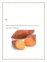 Khoai lang không chỉ là thực phẩm quen thuộc trong dân gian, mà lá và củ còn là vị thuốc trị nhiều bệnh pot