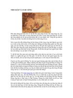 Nho giáo và cuộc sống docx