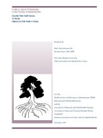 PUBLIC MCH PROGRAM FUNCTIONS FRAMEWORK: Essential Public Health Services To Promote Maternal and Child Health in America docx