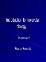 Introduction to molecular biology…biology…