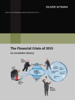 The Financial Crisis of 2015 An Avoidable History pot