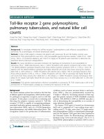 Toll-like receptor 2 gene polymorphisms, pulmonary tuberculosis, and natural killer cell counts pot