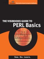 the visibooks guide to perl basics