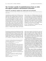 Báo cáo khóa học: The C-terminal t peptide of acetylcholinesterase forms an a helix that supports homomeric and heteromeric interactions potx