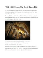 Thế Giới Trong Mơ Dưới Lòng Đất pot