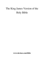 he Holy Bible (King James Version, KJV) pot