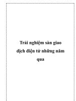 Trải nghiệm sàn giao dịch điện tử những năm qua doc
