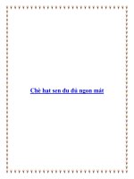 Chè hạt sen đu đủ ngon mát pot