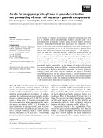 Báo cáo khoa học: A role for serglycin proteoglycan in granular retention and processing of mast cell secretory granule components ppt