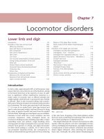 COLOR ATLAS OF DISEASES AND DISORDERS OF CATTLE_2 pdf