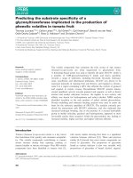 Báo cáo khoa học: Predicting the substrate speciﬁcity of a glycosyltransferase implicated in the production of phenolic volatiles in tomato fruit pptx