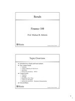 Finance 100 Prof. Michael R. Roberts docx