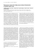 Báo cáo Y học: Fluorescence study of the high pressure-induced denaturation of skeletal muscle actin pdf